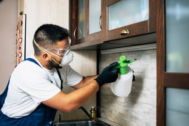 Best Affordable Exterminators  in Springdale, OH