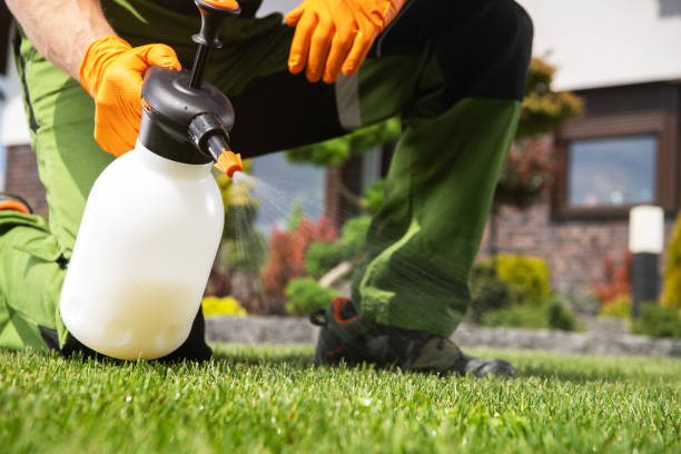 Best Residential Pest Control  in Springdale, OH