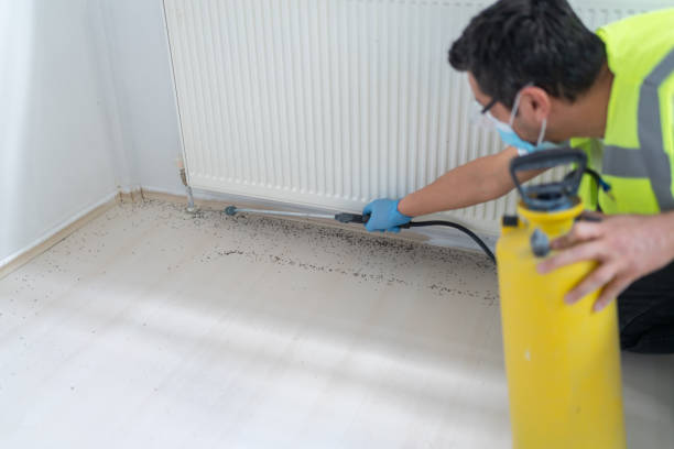 Best Bed Bug Extermination  in Springdale, OH